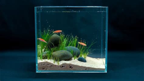 圓形魚缸造景|7分鐘學會小缸無痛造景 HOW TO make a mini fish tank